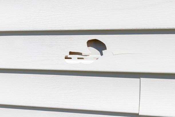 Best Shed Removal  in Oran, MO